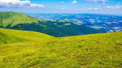 carpathian mountain landscape of ukraine in summer. rural valley of podobovets village view from the top. popular travel destination on a sunny day