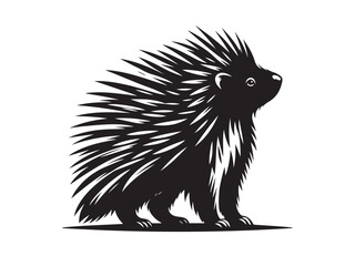 Animal porcupine icon isolated on white background.