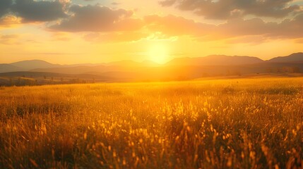 Obraz premium Dramatic Golden Hour Landscape with Soft Warm Lighting Ideal for Product Presentations and Fashion Accessories