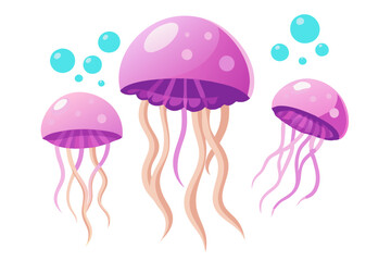 Set of jellyfish isolated on transparent background modern flat design simple vector illustration isolated transparent background;