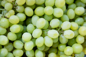 A cluster of fresh green grapes is placed on the table