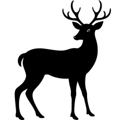 Silhouette of deer