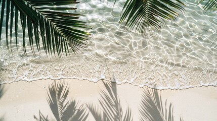 Top-down view of clear water and silhouettes of tropical leaves casting shadows on a white sand beach, ideal for a summer banner.