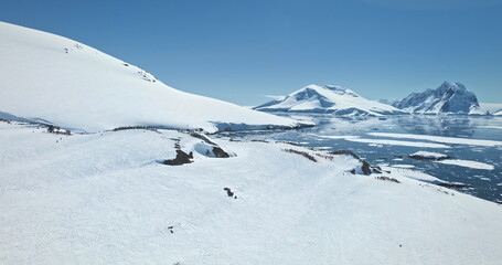 Antarctica majestic winter landscape aerial view. Fly over snow-covered hill penguin colony, frozen ice ocean and towering mountain range in background. Travel to South Pole. Explore polar wildlife