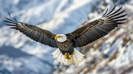 Obraz premium A Majestic Bald Eagle Soaring Through the Air with Wings Spread Wide Against a Snowy Mountain Background
