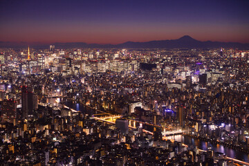 Obraz premium 東京都 東京スカイツリーから見た夜景