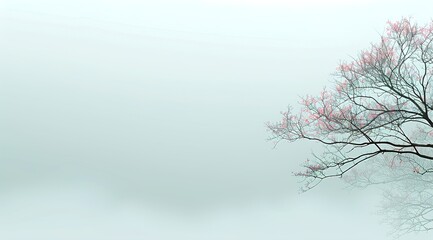 tree in the fog