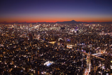 Naklejka premium 東京都 東京スカイツリーから見た夜景