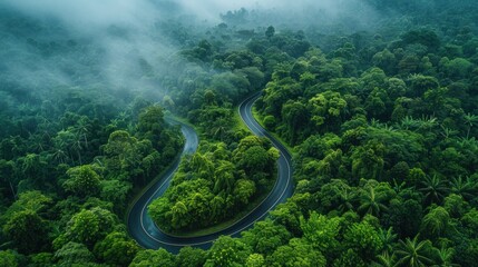 Winding Road Through Misty Forest