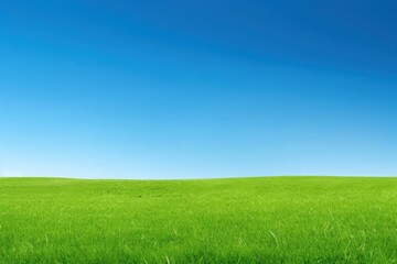 Obraz premium Perfect green meadow backgrounds landscape outdoors.