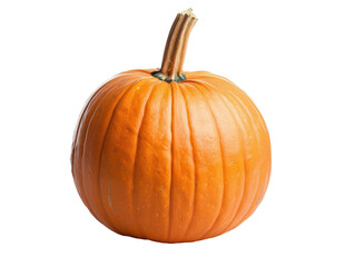 Obraz premium A large orange pumpkin with a green stem