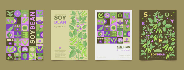 Set poster, brochure with drawing of soybeans. Isolated flower, beans and leaves. Card geometry for print design vector banner