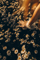 Beautiful girl in a field with flowers at sunset.