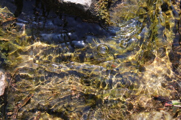 Oscillations of water