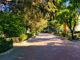 Flowers in the garden