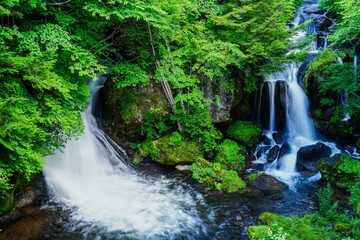 滝が綺麗