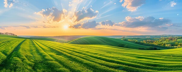 Obraz premium Summer evening aerial view of a field with green rows of crops, featuring a beautiful sunset with sun rays breaking through clouds in a blue sky, highlighting the agricultural landscape.