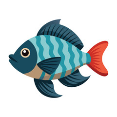 illustration of a tilapia fish
