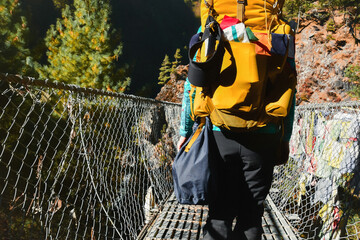 Young female hiker with backpack carry collected plastic waste in bag in nature outdoors. Waste...