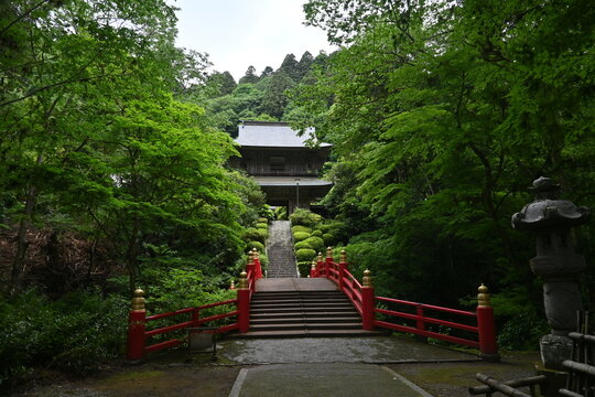 栃木県,日本,寺,雲厳寺,古い家屋,赤い橋,新緑の寺,日本の木造建築,木造建築,