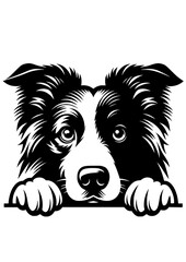 Border Collie SVG, Dog Breed SVG, Dog SVG, Pet SVG, Dog Lover SVG, Peeking Animal SVG, Border Collie Silhouette, Vector, Clipart, Cut file for Cricut SVG, JPG, PNG