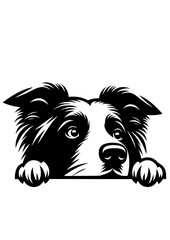 Border Collie SVG, Dog Breed SVG, Dog SVG, Pet SVG, Dog Lover SVG, Peeking Animal SVG, Border Collie Silhouette, Vector, Clipart, Cut file for Cricut SVG, JPG, PNG