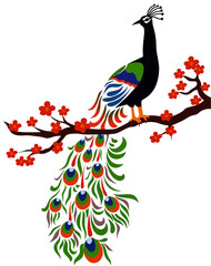 Obraz premium Vector illustration of a colourful peacock sitting on a tree branch