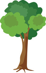 Drawing green tree isolated on white background. Vector Illustration.