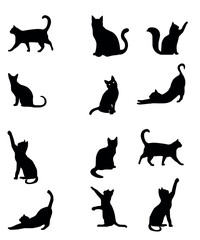 Cat silhouette, vector , t-shirt design