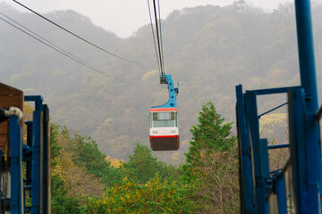 Fototapeta premium a cable car ascending above an autumn-colored forest in Naejangsan, Korea, showcasing the natural beauty and a serene transportation method.