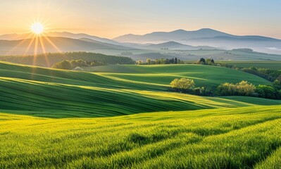 Naklejka premium Beautiful green fields, rolling hills and mountains in the background at sunrise