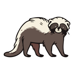 Playful Badger