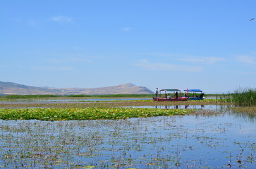 Fototapeta premium boat on the river
