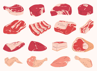 Set of fresh meat. Different parts of animal meat beef and pork. Vector illustration