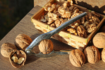 Walnut cracking, cupcake with nut kernels and whole nuts and nutcracker