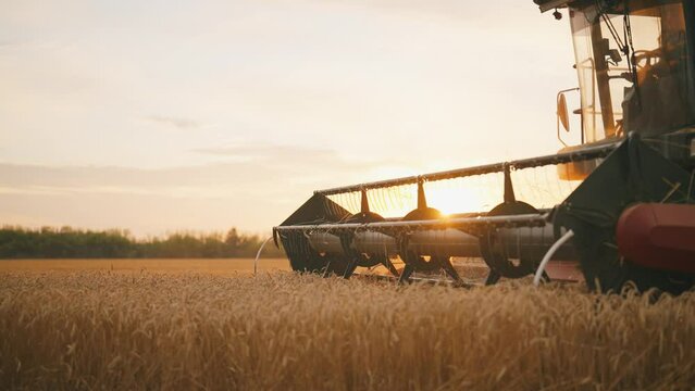 Agricultural machinery working in cereal fields in harvest season, slow motion. Modern equipment for traditional farming process, growing wheat, rye and barley in ecological area, agribusiness concept