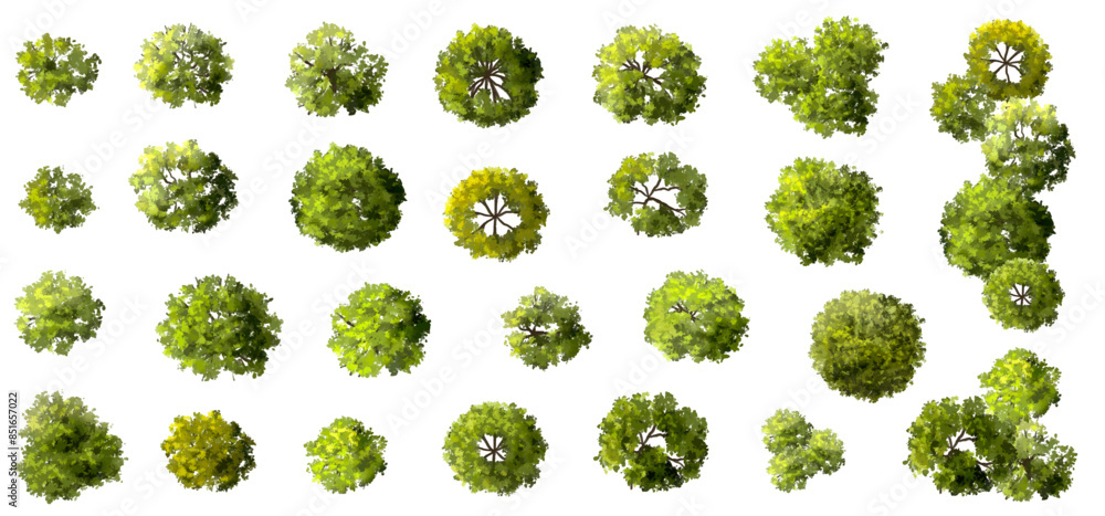 Wall mural vector set of top view green tree for outdoor plan or map and architecture drawing, elements for env