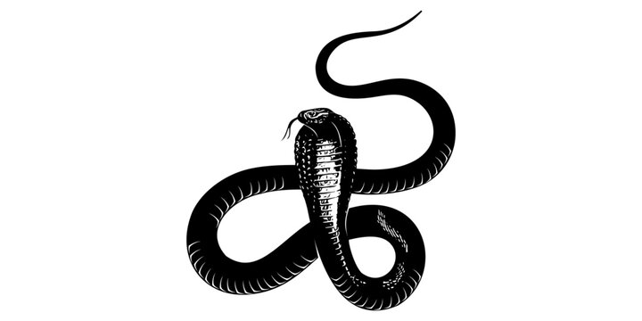 snake silhouette vector 