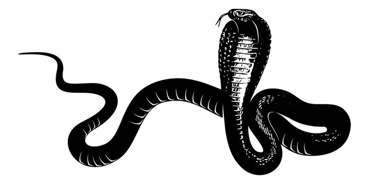 snake silhouette vector 