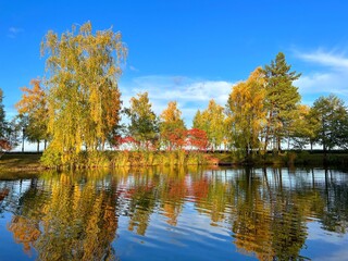 Autumn park on the lake shore 