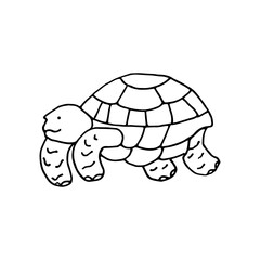 Sea turtle. Large sea animal. Doodle. Vector illustration. Hand drawn. Outline.