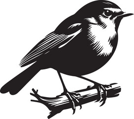 Robin silhouette vector illustration