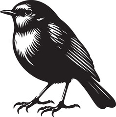 Robin silhouette vector illustration