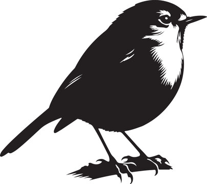 recommend clip art: Robin silhouette vector illustration