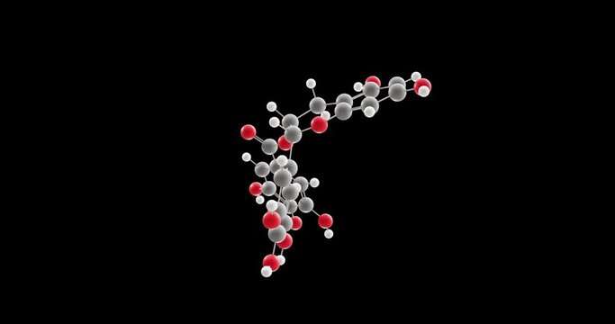 Epigallocatechin gallate molecule, rotating 3D model of ester, looped video on a black background