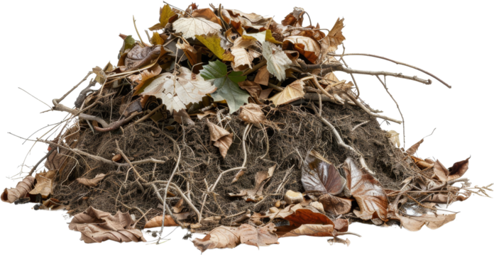 compost pile, autumn leaves and twigs, brown dirt, png, transparent background, cut out background, di cut