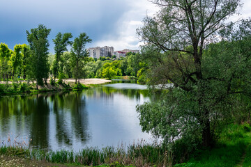 Obraz premium In a city park before the rain in early spring.