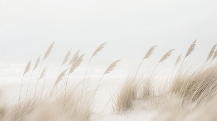 Obraz premium beachscape with soft beige colors and pampas grass.