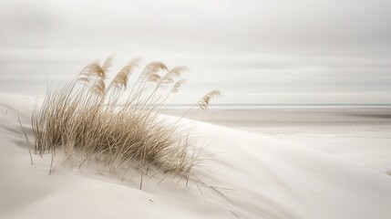 beachscape with soft beige colors and pampas grass
