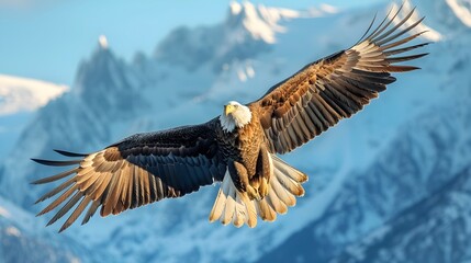 Obraz premium Majestic Eagle Soaring Above Snowy Mountain Peaks in Pristine Wilderness Landscape